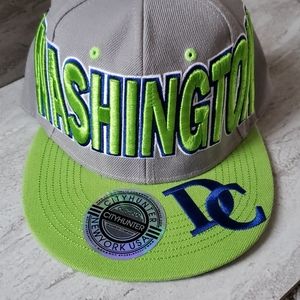 Washington DC baseball hat